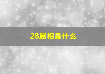 28属相是什么