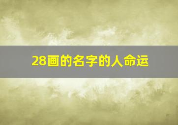 28画的名字的人命运