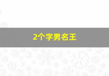 2个字男名王