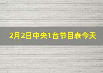 2月2日中央1台节目表今天