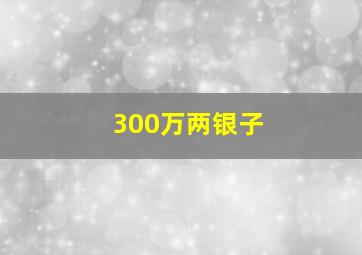 300万两银子