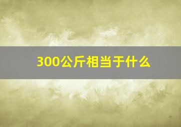 300公斤相当于什么