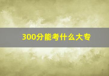 300分能考什么大专