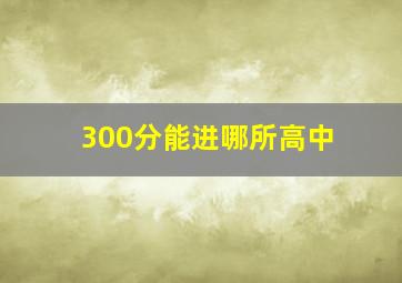 300分能进哪所高中