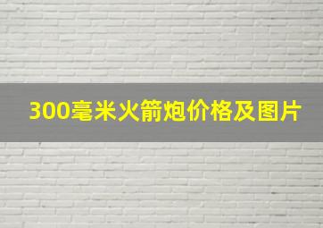 300毫米火箭炮价格及图片