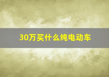 30万买什么纯电动车