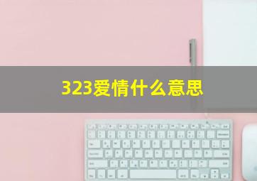 323爱情什么意思