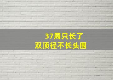 37周只长了双顶径不长头围