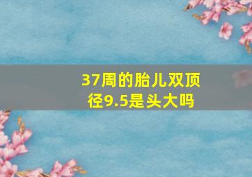 37周的胎儿双顶径9.5是头大吗