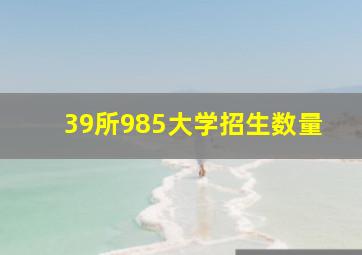 39所985大学招生数量