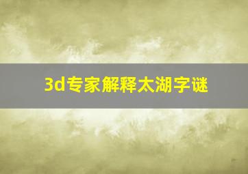 3d专家解释太湖字谜