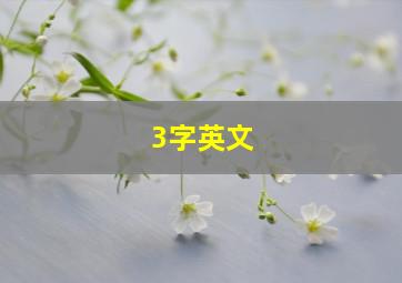 3字英文