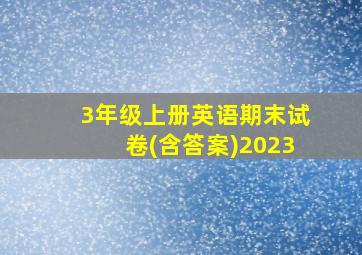 3年级上册英语期末试卷(含答案)2023