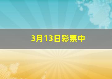 3月13日彩票中