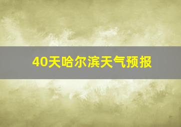 40天哈尔滨天气预报