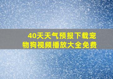 40天天气预报下载宠物狗视频播放大全免费