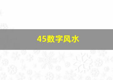 45数字风水