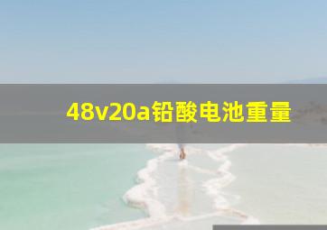 48v20a铅酸电池重量