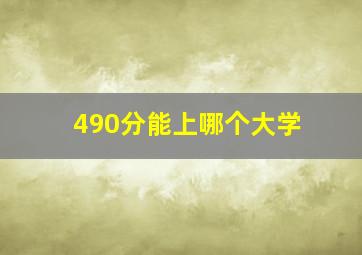 490分能上哪个大学