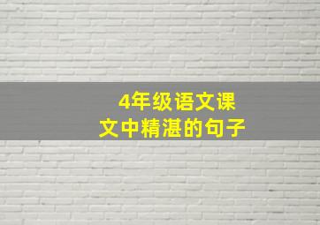 4年级语文课文中精湛的句子