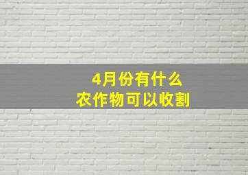 4月份有什么农作物可以收割