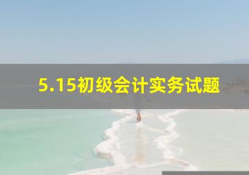 5.15初级会计实务试题