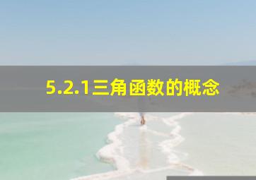 5.2.1三角函数的概念