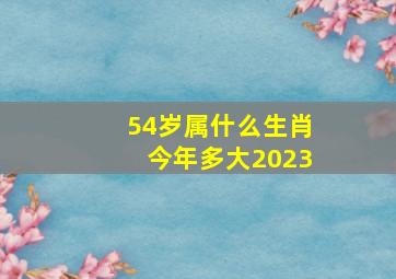 54岁属什么生肖今年多大2023