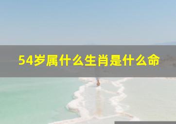 54岁属什么生肖是什么命