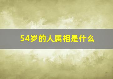 54岁的人属相是什么