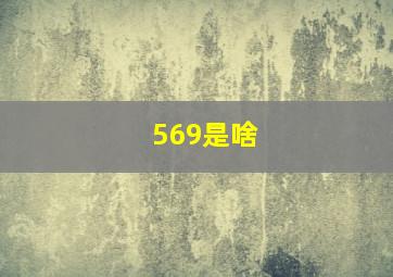 569是啥