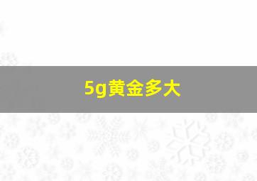 5g黄金多大