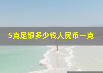 5克足银多少钱人民币一克