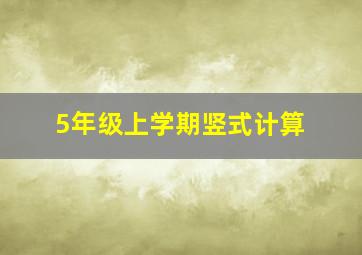 5年级上学期竖式计算