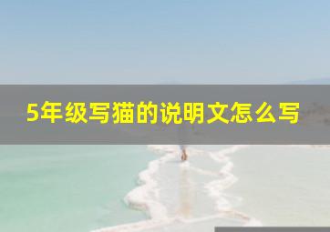 5年级写猫的说明文怎么写