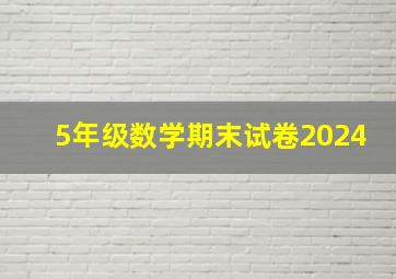 5年级数学期末试卷2024