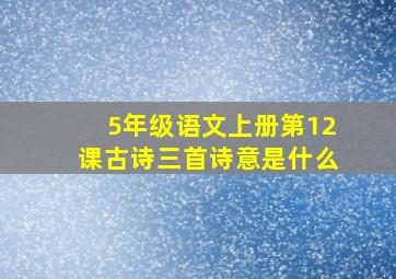 5年级语文上册第12课古诗三首诗意是什么