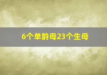 6个单韵母23个生母