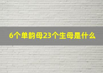 6个单韵母23个生母是什么