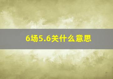 6场5.6关什么意思