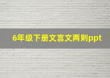 6年级下册文言文两则ppt