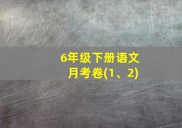 6年级下册语文月考卷(1、2)