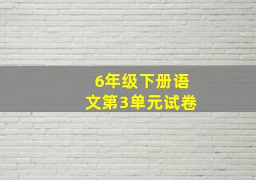 6年级下册语文第3单元试卷