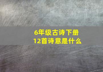 6年级古诗下册12首诗意是什么