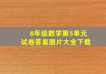 6年级数学第5单元试卷答案图片大全下载