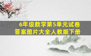 6年级数学第5单元试卷答案图片大全人教版下册