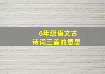 6年级语文古诗词三首的意思