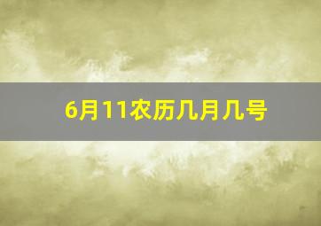 6月11农历几月几号