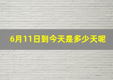 6月11日到今天是多少天呢