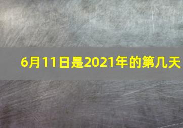 6月11日是2021年的第几天